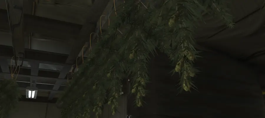 ZuiderVeen — gallery